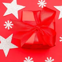 12 Days of Christmas Michigan