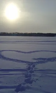 Holidays on Ice