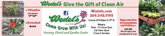 www.wedels.com